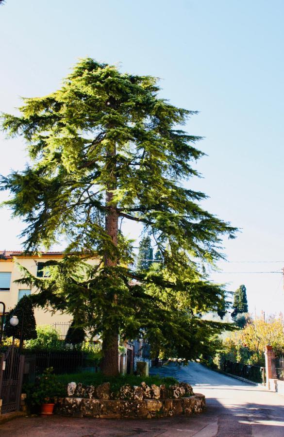 시에나 La Torre Di Caprera 아파트 외부 사진
